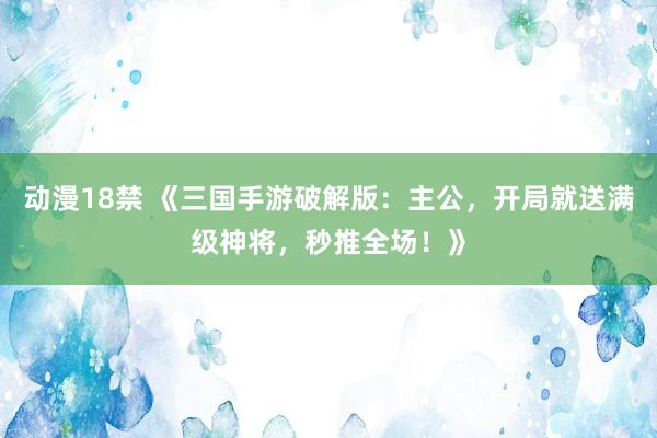 动漫18禁 《三国手游破解版：主公，开局就送满级神将，秒推全场！》