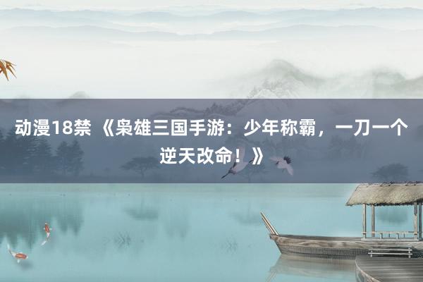 动漫18禁 《枭雄三国手游：少年称霸，一刀一个逆天改命！》